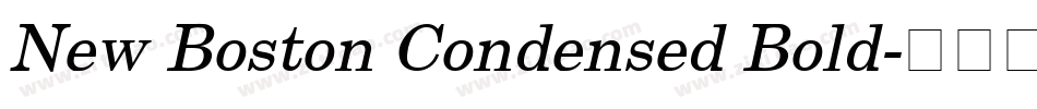 New Boston Condensed Bold字体转换